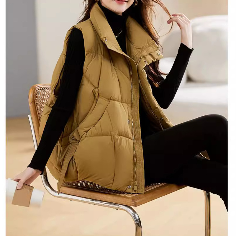 Winter Clothing Colors - Down cotton jacket women 2026 light